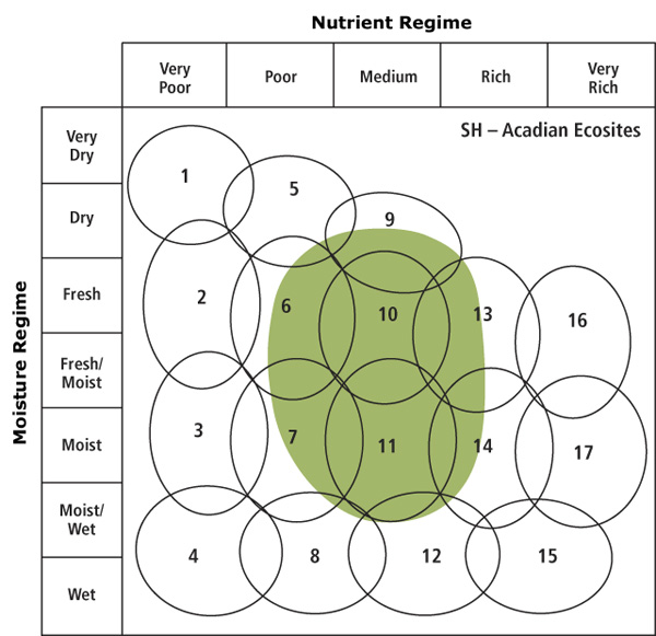 sh edatopic grid